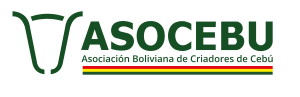 LOGO ASOCEBU png D